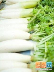 吃野菜减肚子是真的吗 吃野菜能减肚子吗