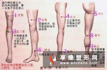 拔罐减肥为什么要吃单一食物 拔罐减肥之后吃什么好